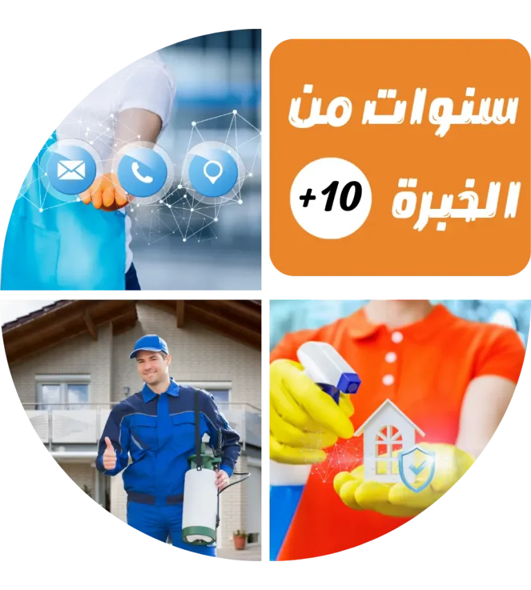سنوات من الخبرة +10